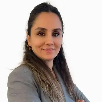 Information Technology Lawyer